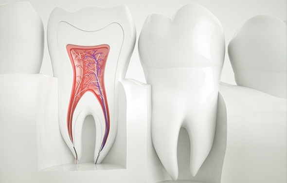 Animation of the inside of the tooth